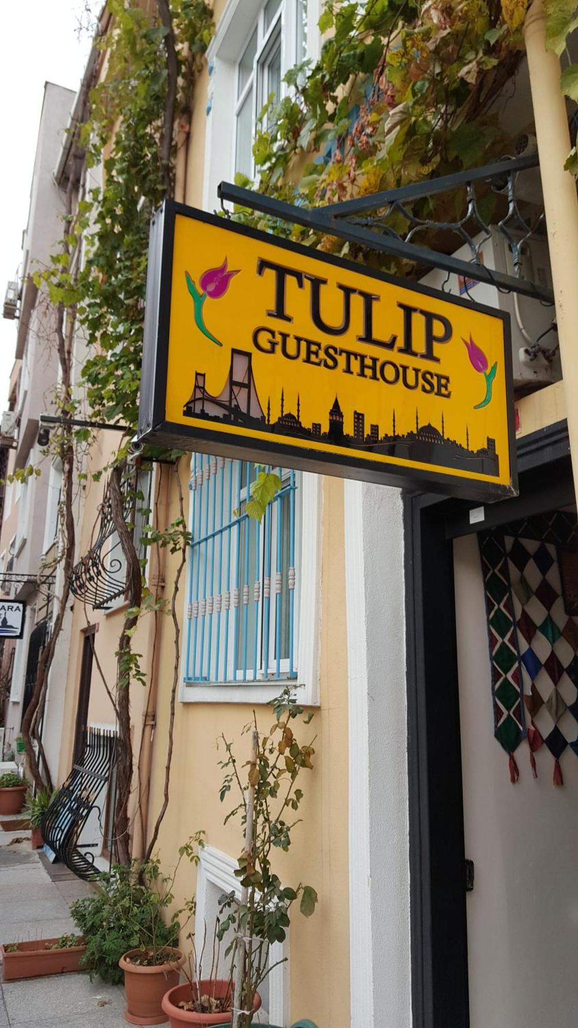 Tulip Guesthouse — Fotos 3